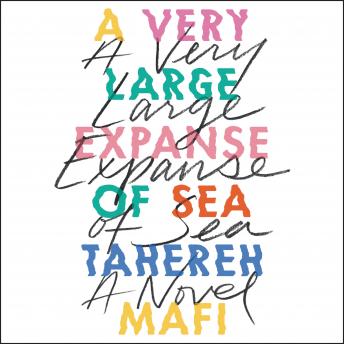 A Very Large Expanse of Sea: Book Review