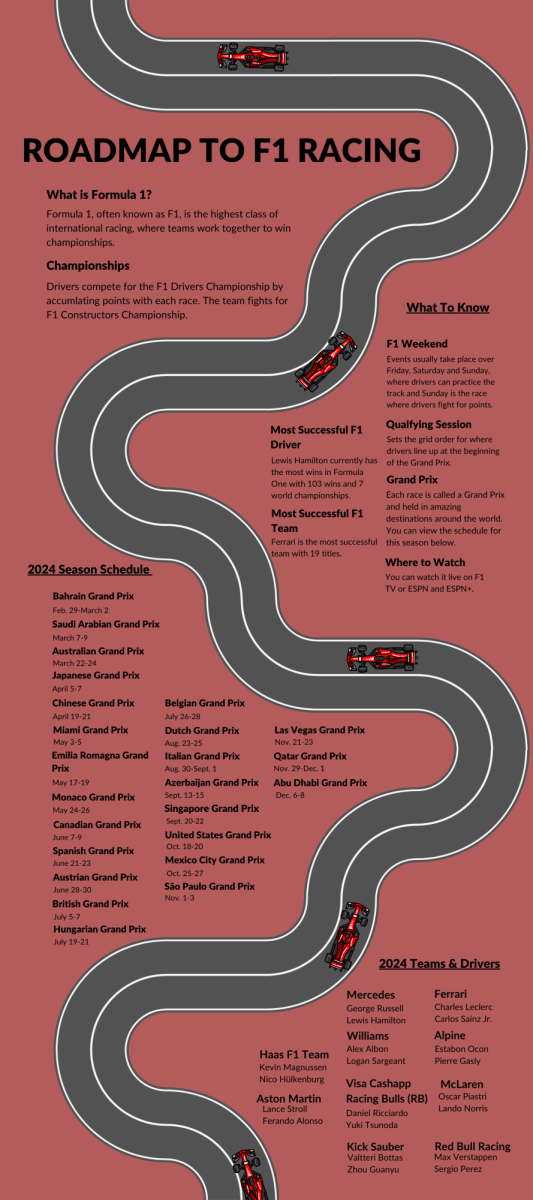 A Beginners Guide to F1