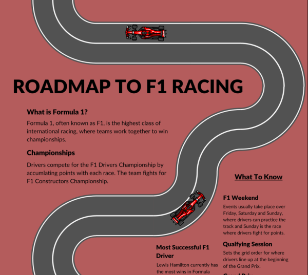 A Beginners Guide to F1